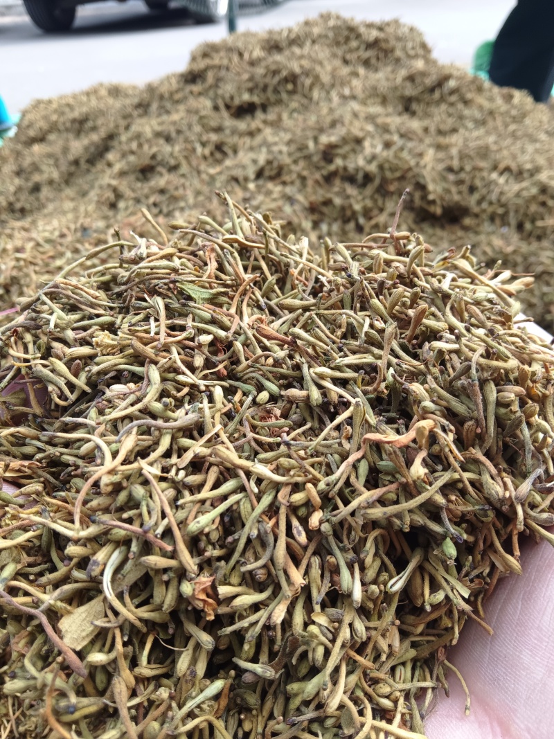 贵州金银花精品开花，货源充足，香味浓郁，欢迎新老客户进店