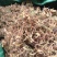 贵州金银花精品开花，货源充足，香味浓郁，欢迎新老客户进店