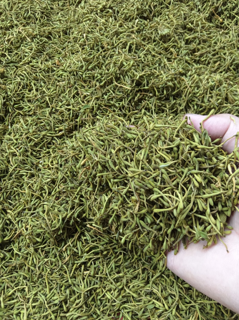 贵州金银花精品开花，货源充足，香味浓郁，欢迎新老客户进店