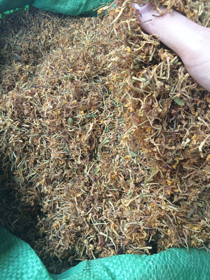贵州金银花精品开花，货源充足，香味浓郁，欢迎新老客户进店