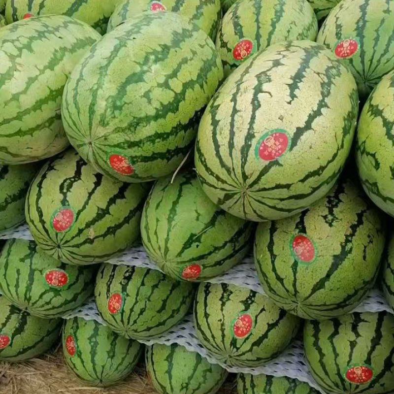 【实力供货】宁夏硒砂瓜石头瓜清甜可口品质好价格优欢迎询价