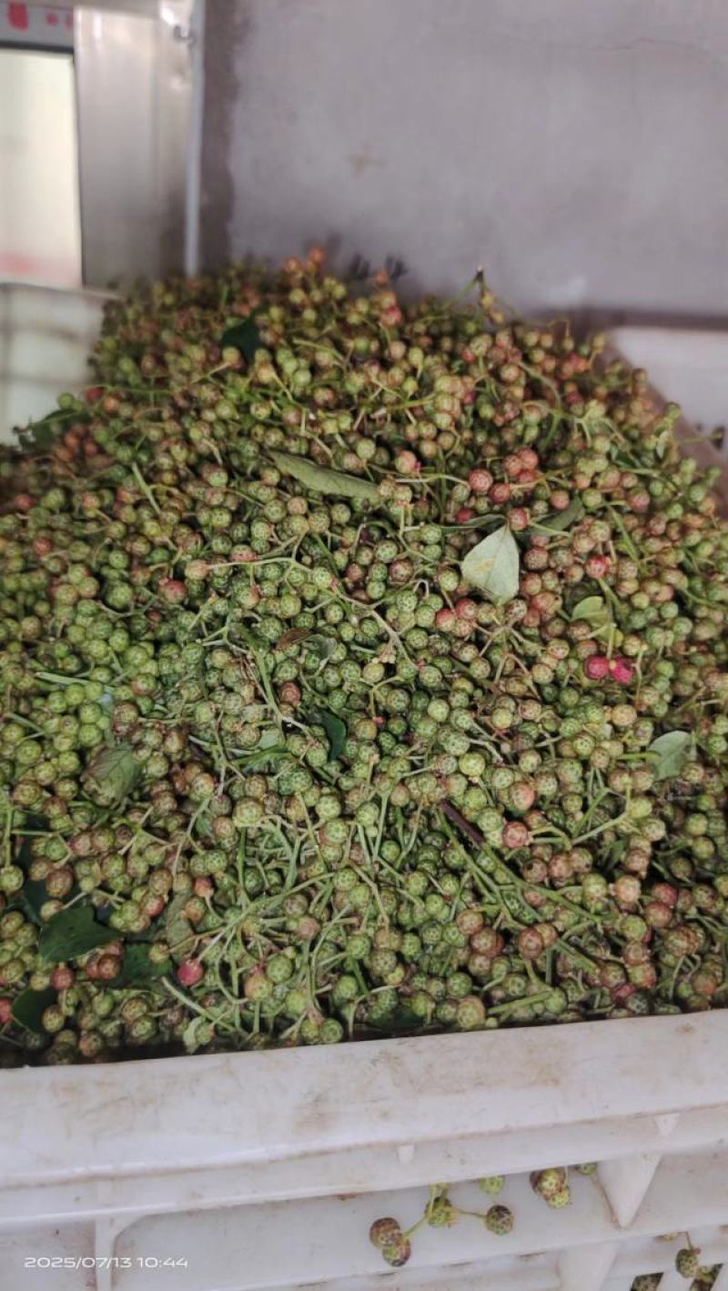 鲜花椒大量上市，产地直发，品质保证，服务周到，诚信经营