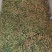 鲜花椒大量上市，产地直发，品质保证，服务周到，诚信经营
