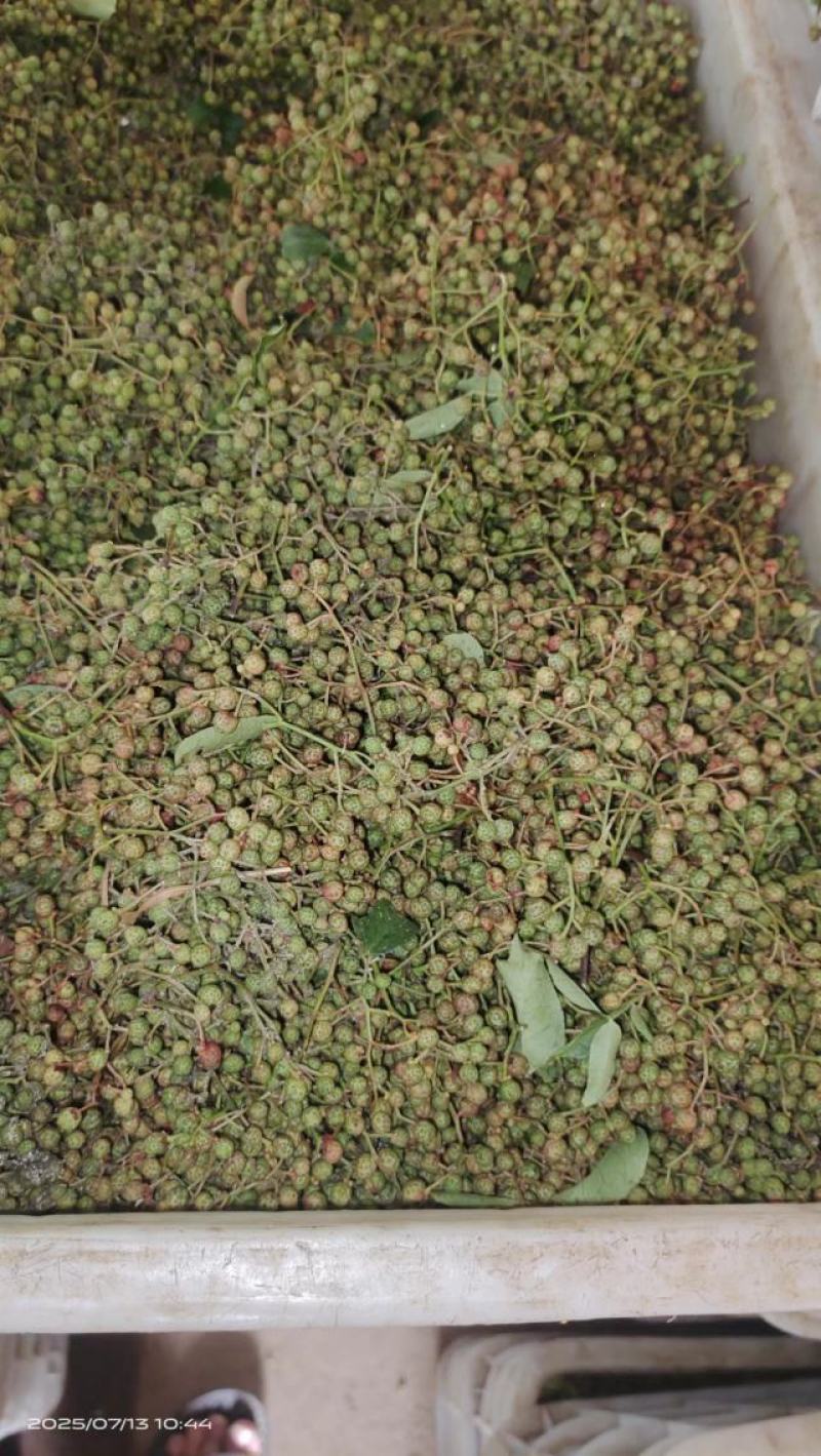 鲜花椒大量上市，产地直发，品质保证，服务周到，诚信经营