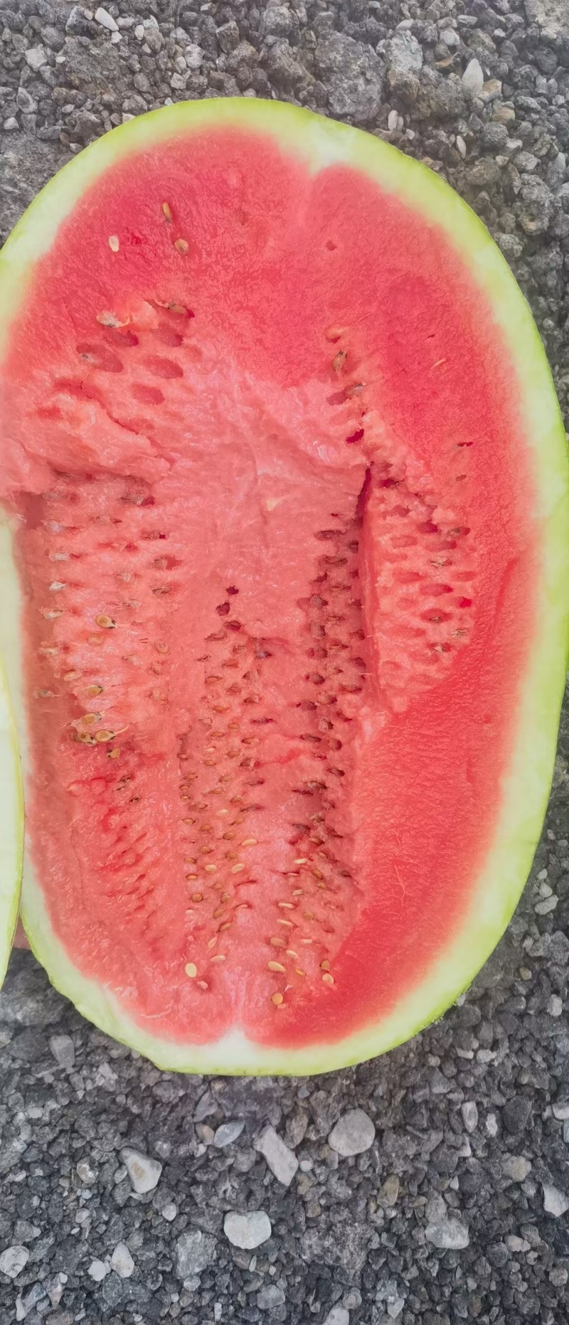 宁夏硒砂瓜石头瓜精品西瓜产地直发量大从优可对接各大平台
