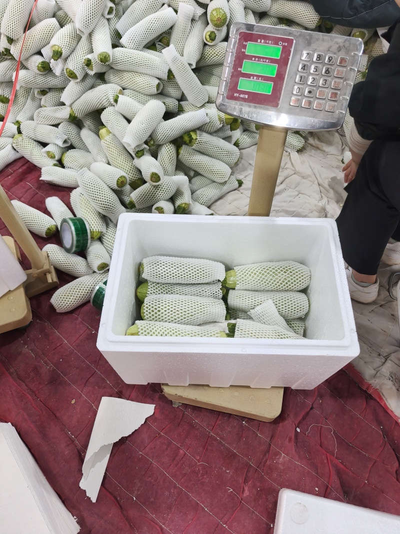 西葫芦