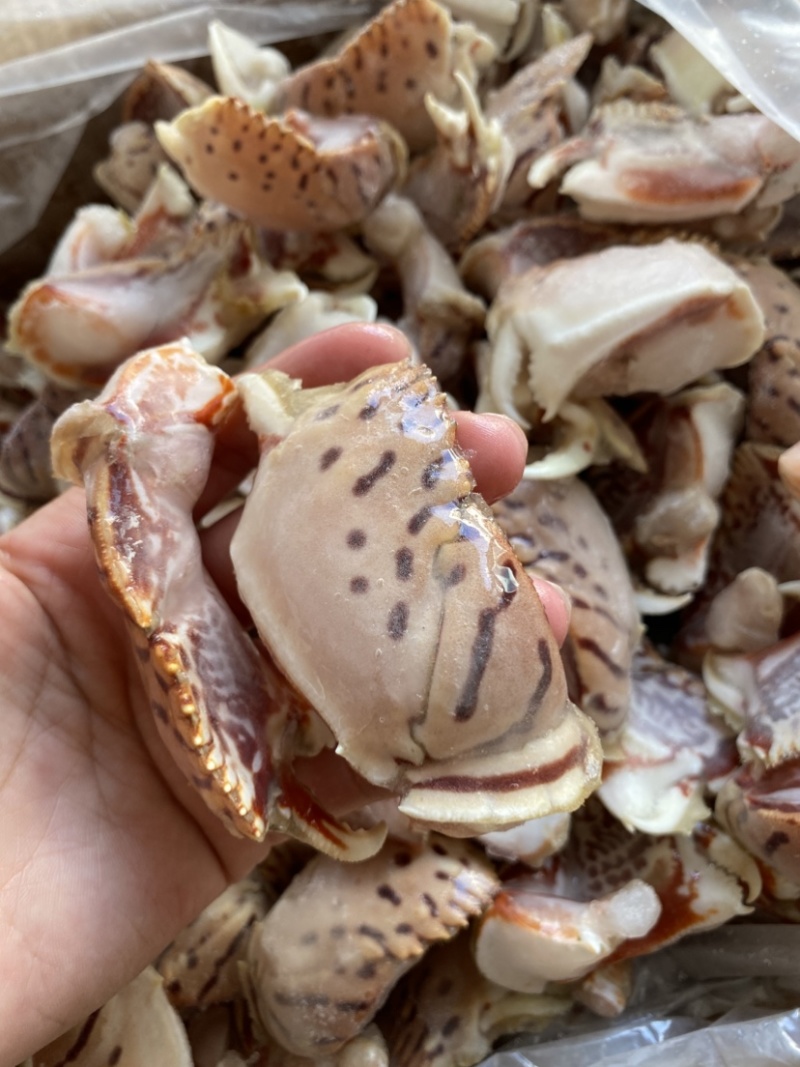 元宝蟹钳虎纹蟹钳肉质饱满蟹腿香辣蟹钳食材