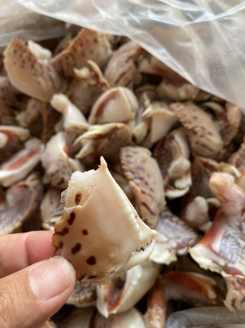 元宝蟹钳虎纹蟹钳肉质饱满蟹腿香辣蟹钳食材