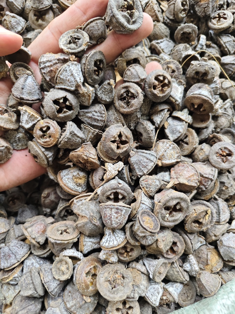 一口钟云南一口钟新货批发零售量大优惠