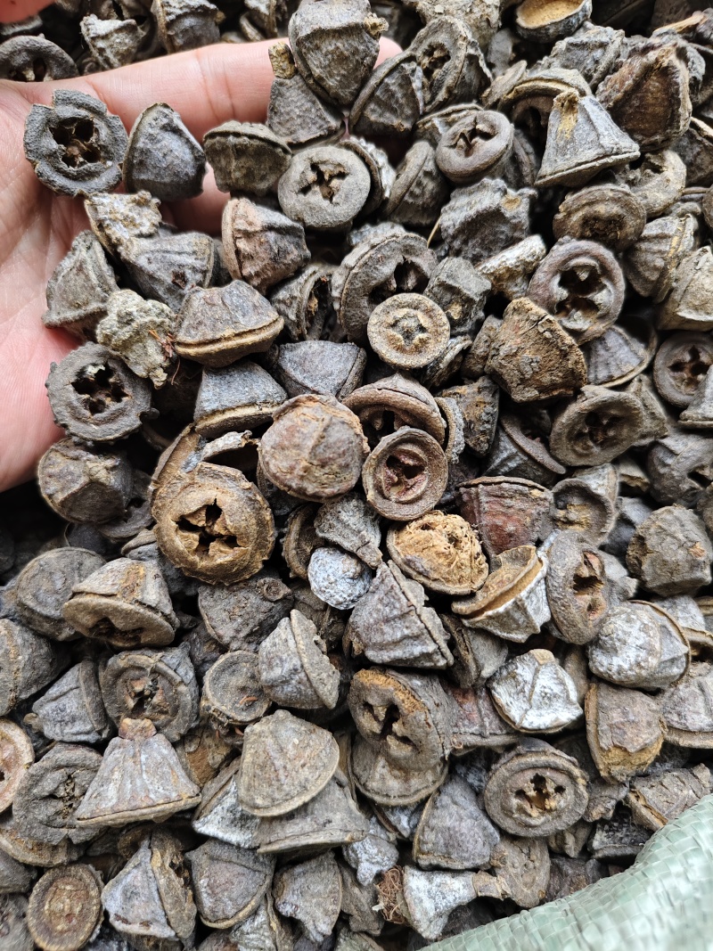一口钟云南一口钟新货批发零售量大优惠
