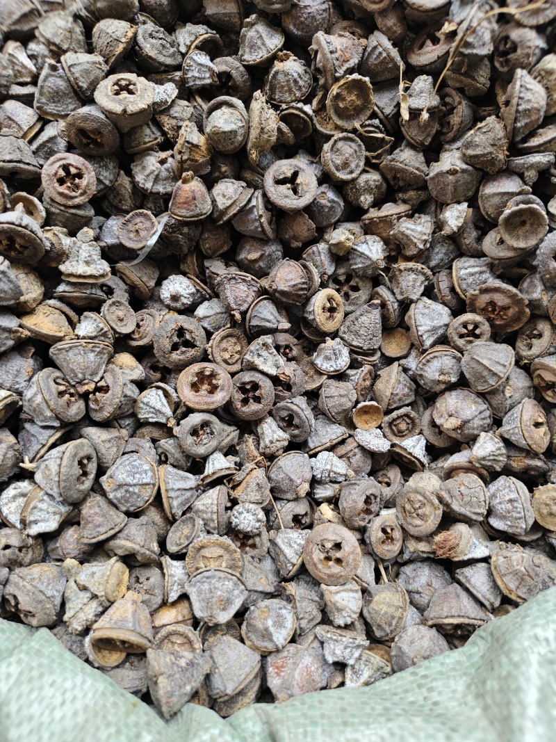 一口钟云南一口钟新货批发零售量大优惠