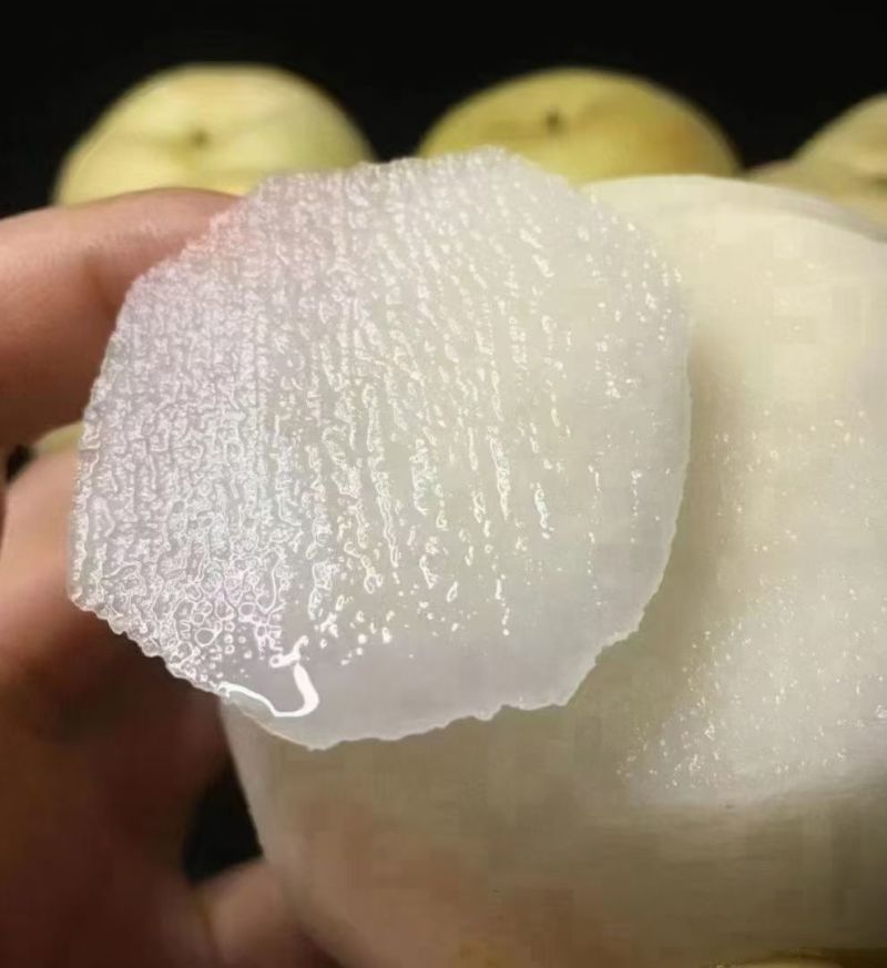 翁源水晶梨