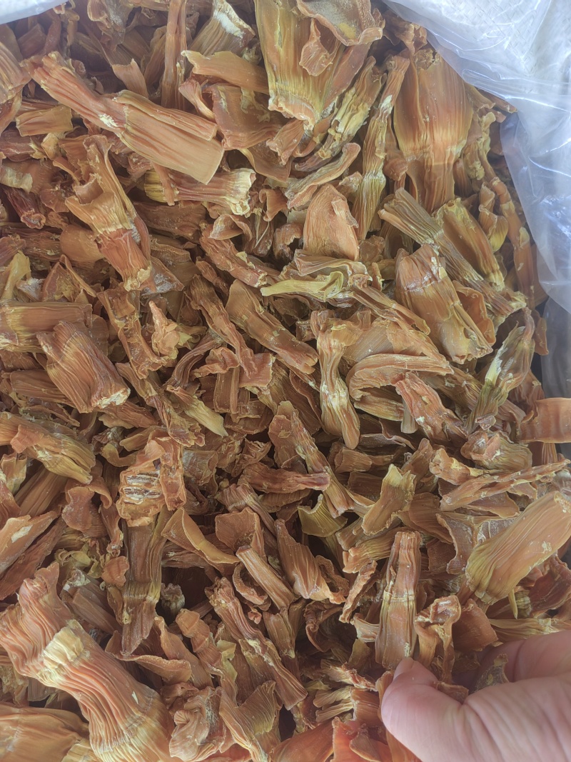 当季脆笋干片