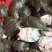 品名：甲鱼（5两-8两）规格：一箱30斤