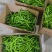 线椒湘妍117大量现货供应，自家种植，品质保证可视频看货