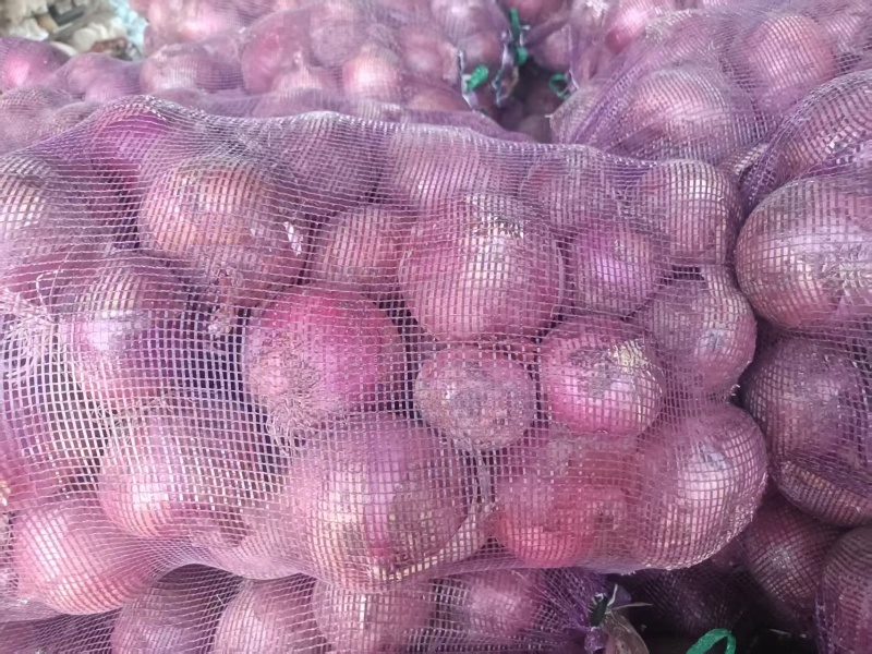 甘肃洋葱红皮洋葱二红洋葱产地一手货源量大从优联系