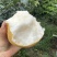 黄金梨