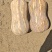 吉冠773花生南瓜大量供应价格美丽口感软糯香甜