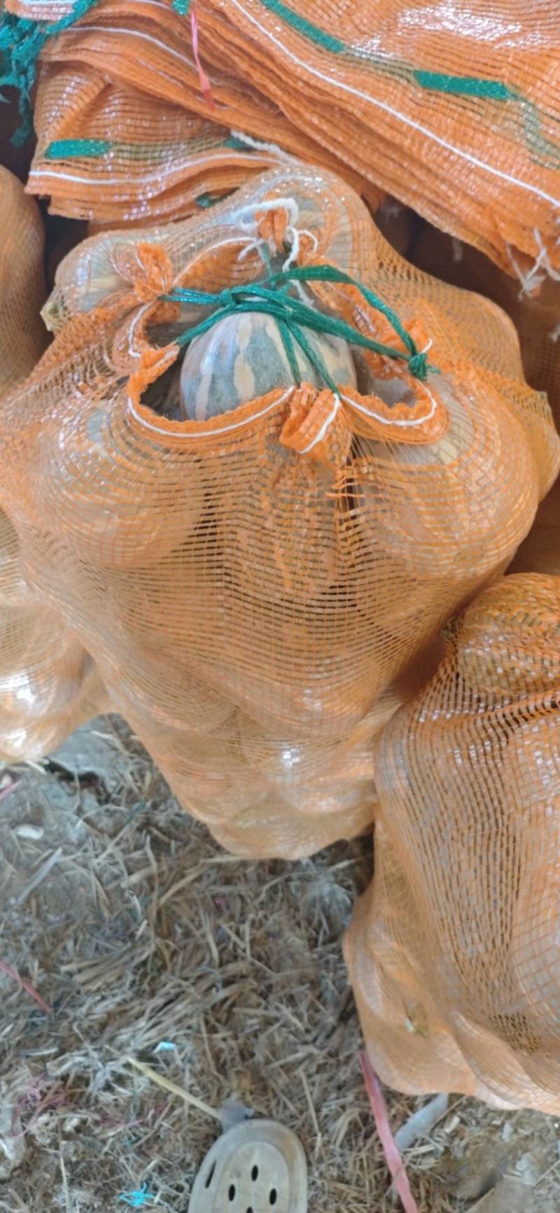 吉冠773花生南瓜大量供应价格美丽口感软糯香甜