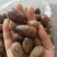 玉果，肉蔻，大料批发【丹丹中药】质量保证中药材肉蔻