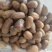 玉果，肉蔻，大料批发【丹丹中药】质量保证中药材肉蔻