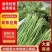 青条豆角，晒干工厂，腌制，烘干工厂货，电商，商场