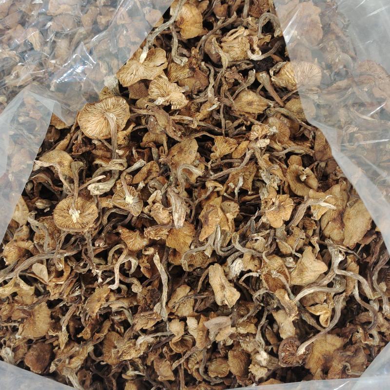 东北特产级非野生精品榛蘑干货山珍非特级包邮