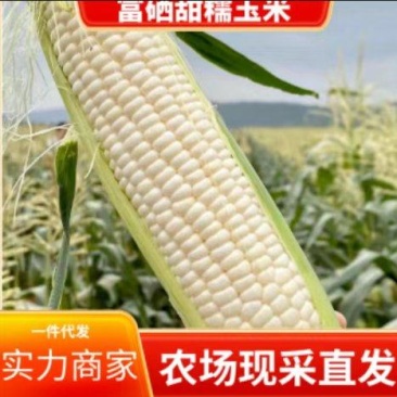 万诺2000