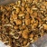 东北特产级非野生精品榛蘑干货山珍非特级包邮