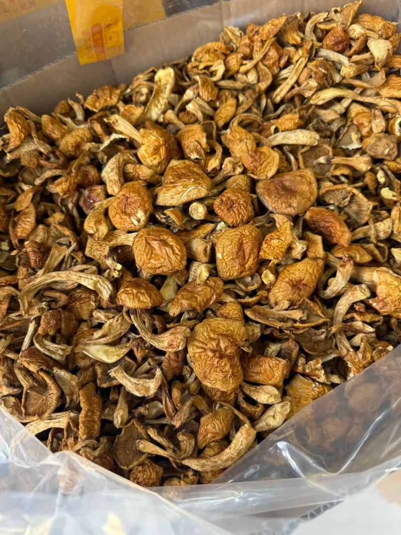 东北特产级非野生精品榛蘑干货山珍非特级包邮