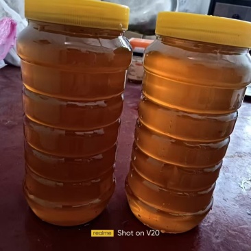 【实力供货】江西深山百花土蜂蜜一年取一次批发零售量大从优