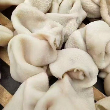 熟白羊肚