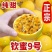 钦密9号百香果