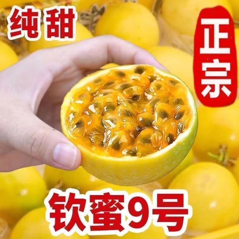 钦密9号百香果