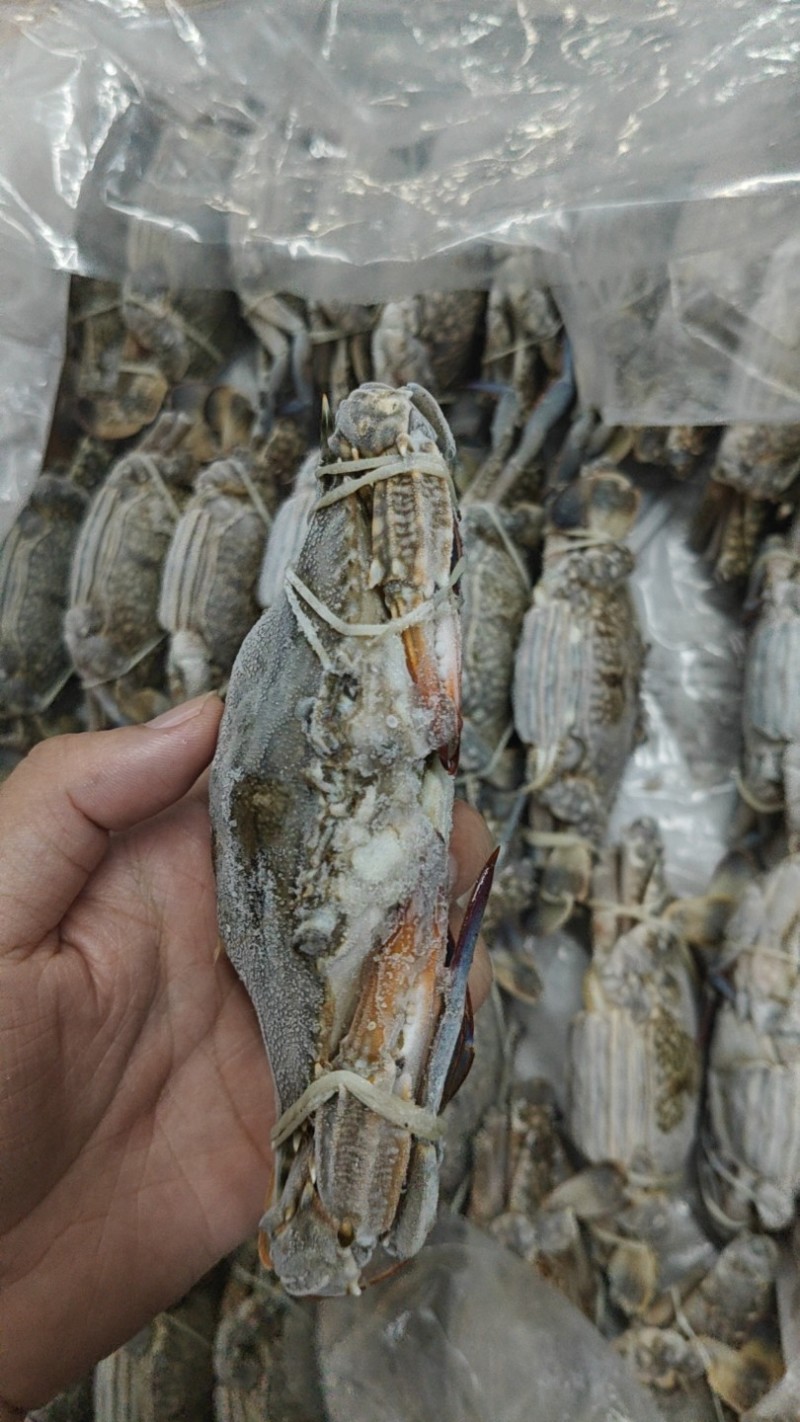 冻蓝花蟹8KG/箱