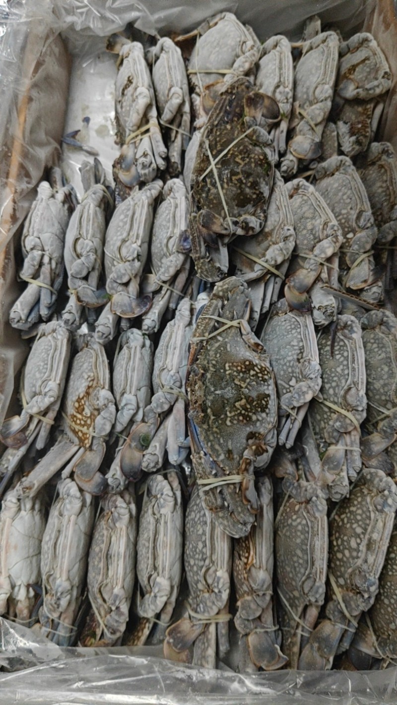 冻蓝花蟹8KG/箱