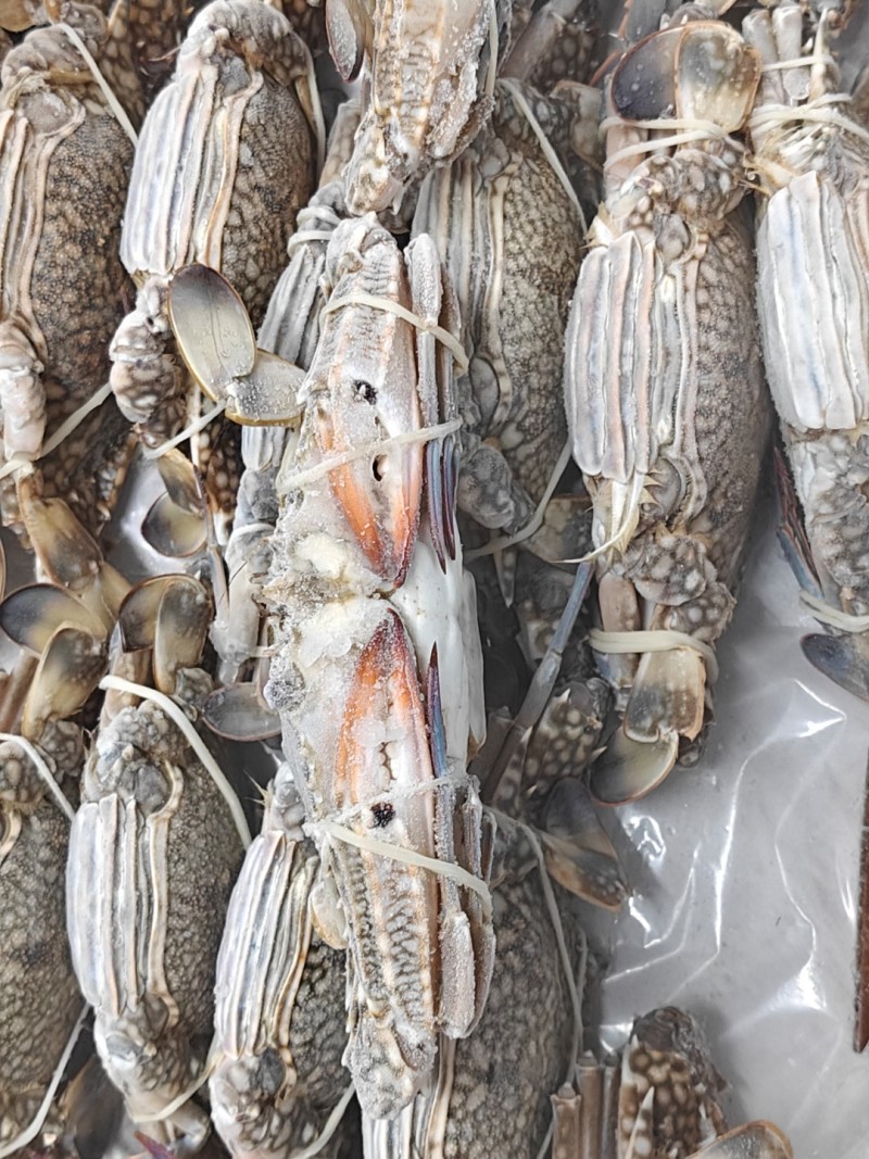 冻蓝花蟹8KG/箱