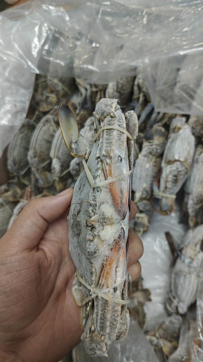 冻蓝花蟹8KG/箱