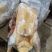 红嘴雁，品质保证