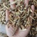 东北特产鹿茸菌大碎块干货包邮非野生非特级新鲜