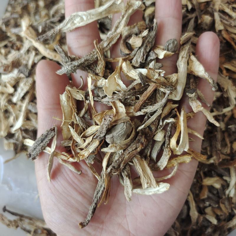 东北特产鹿茸菌大碎块干货包邮非野生非特级新鲜