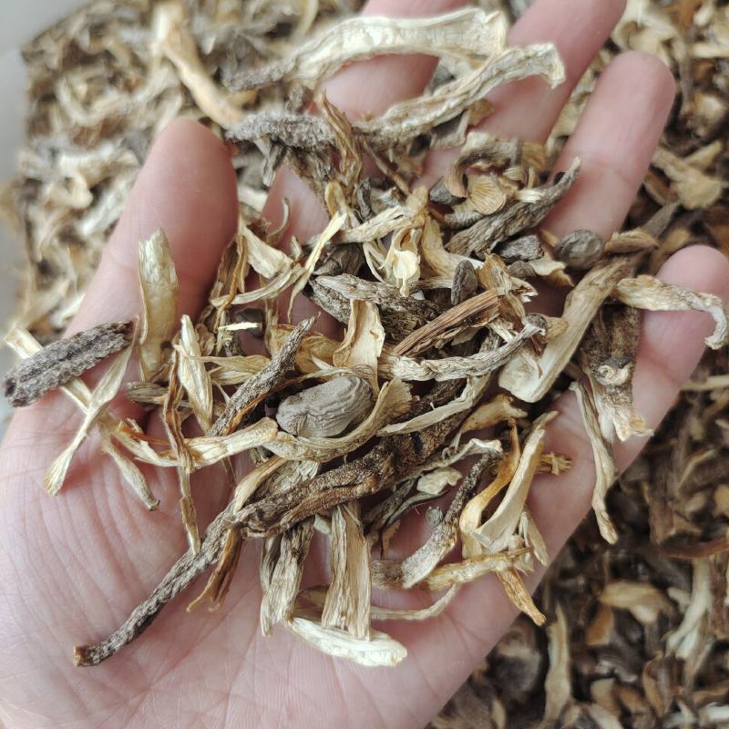 东北特产鹿茸菌大碎块干货包邮非野生非特级新鲜