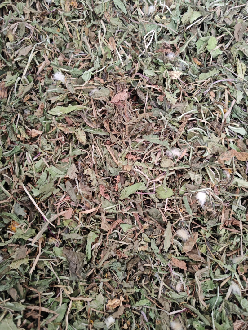 蒲公英公英泡泡丁新货