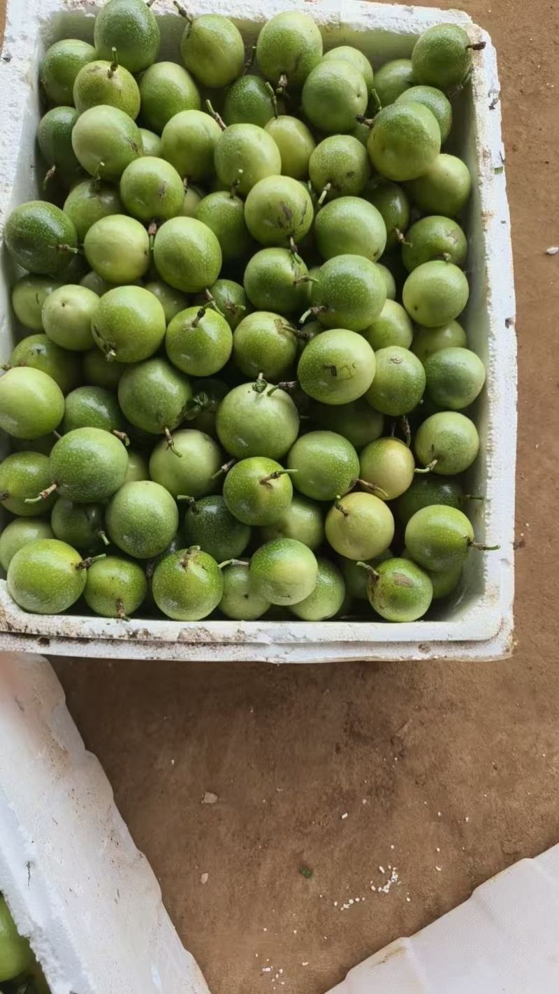 钦蜜九号黄金百香果产地大量供应