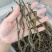 精品豆角干农产品非野生铁锅炖豆角干干货东北特产
