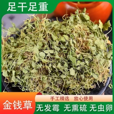 金钱草正宗四川小叶金钱草茶干金钱草中草药马蹄金净重小叶金钱草
