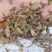 金钱草正宗四川小叶金钱草茶干金钱草中草药马蹄金净重小叶金钱草