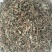 金钱草正宗四川小叶金钱草茶干金钱草中草药马蹄金净重小叶金钱草