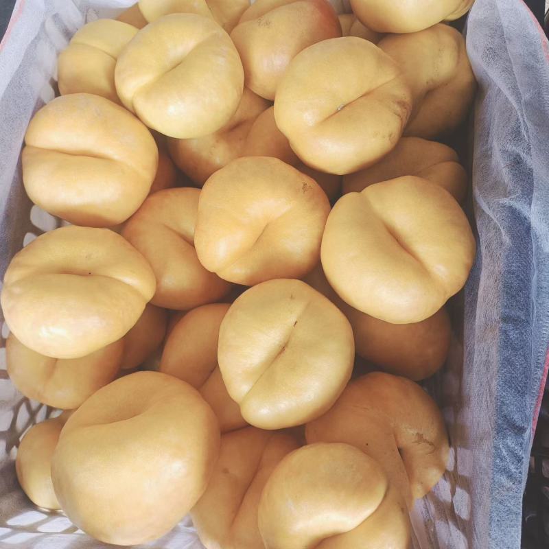 河北潘七