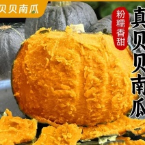 贝贝真贝贝板栗南瓜甜糯婴儿宝宝辅食批发正宗香甜孕妇新鲜
